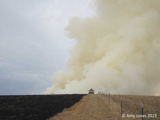 Amy Jones' (Development and Research Director for PPRI) view of the massive smoke column from the headfire over the hill.