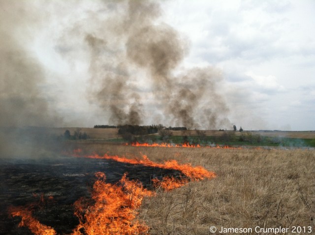 The flank fires and backfire making steady progress on the northern half of Pokorny Prairie.