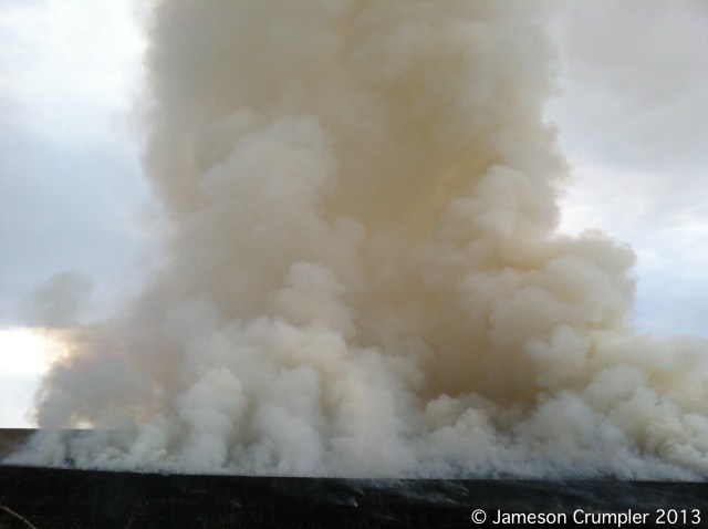 The massive smoke column where the flank, back, and head fires converged.