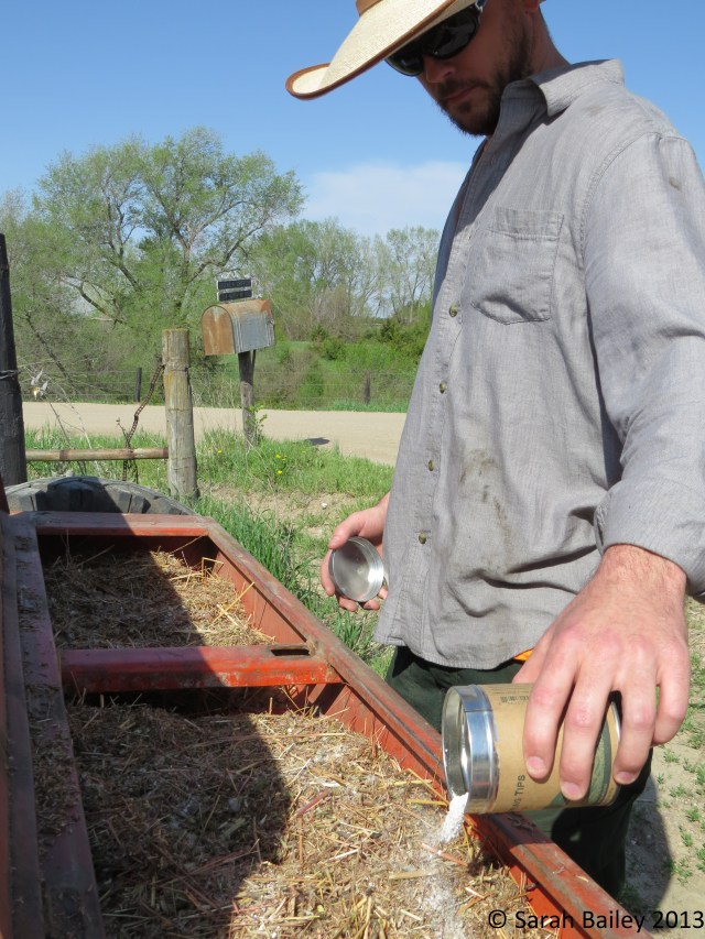 One last prairie was planted for the season at Griffith Prairie and Farm. This was the planting mentioned in the post " ". In the seed mix I included a sprinkling of my late dog Eddie's ashes - I'll definitely be coming back and visiting this prairie over the years.